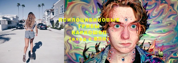 крисы Алексеевка