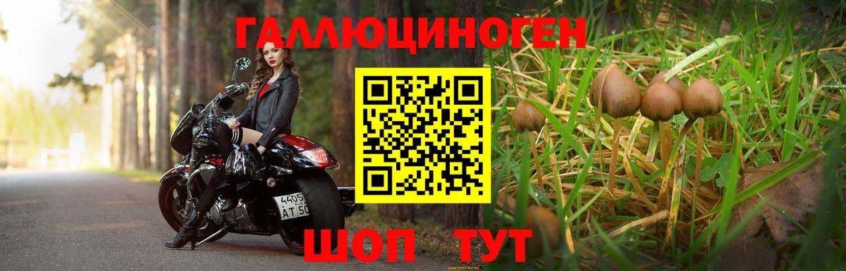 Псилоцибиновые грибы мухоморы  Вход с VPN  Первоуральск 