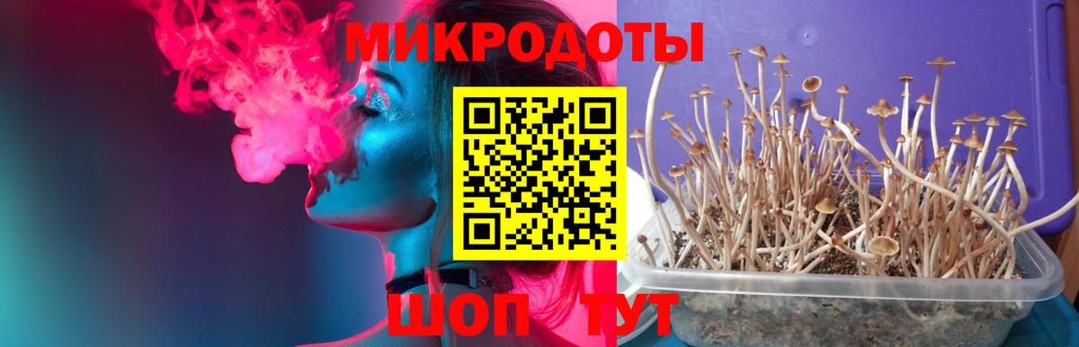Псилоцибиновые грибы GOLDEN TEACHER Первоуральск